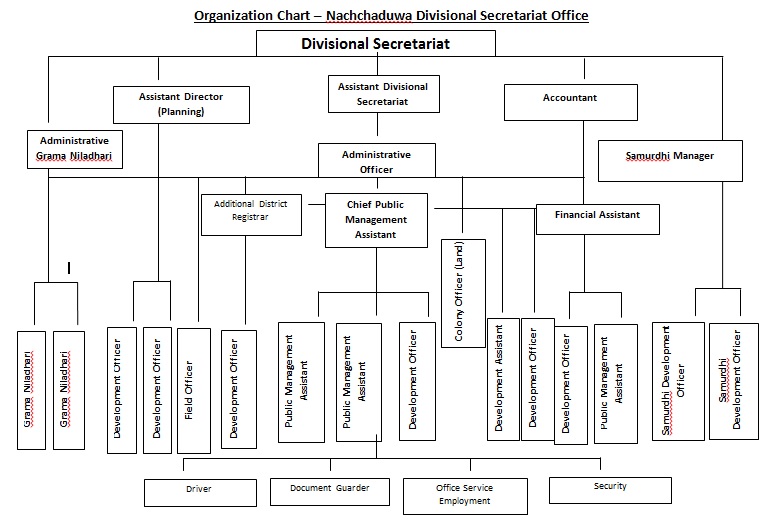 Organization Chart